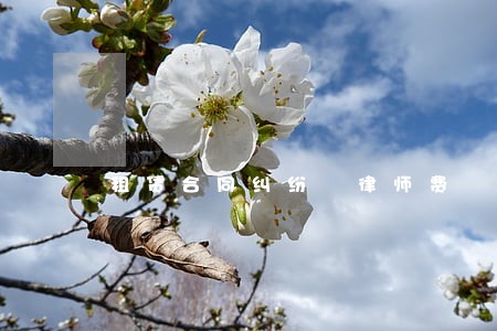 租赁合同纠纷 律师费